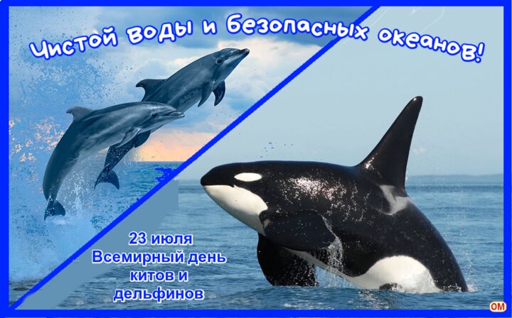 Открытка День китов и дельфинов
