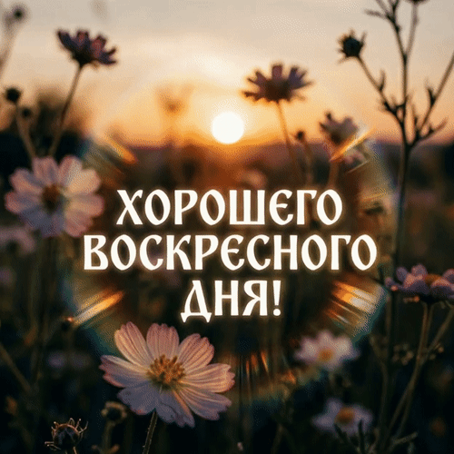 Анимированная открытка Хорошего воскресного дня!