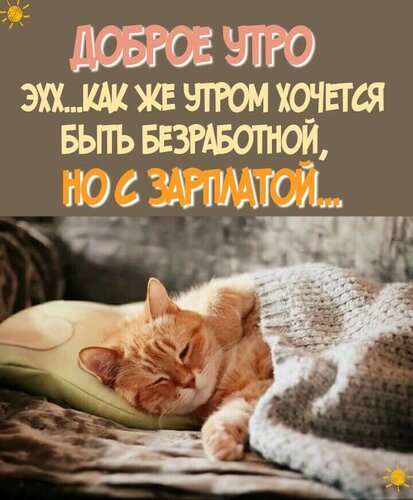Открытка Доброе утро