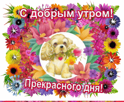 Анимированная открытка Доброго утра! Прекрасного дня!