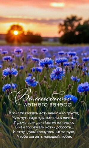 Открытка Волшебного летнего вечера