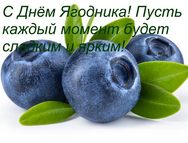 Открытка С Днём Ягодника! Пусть каждый момент будет сладким и ярким!