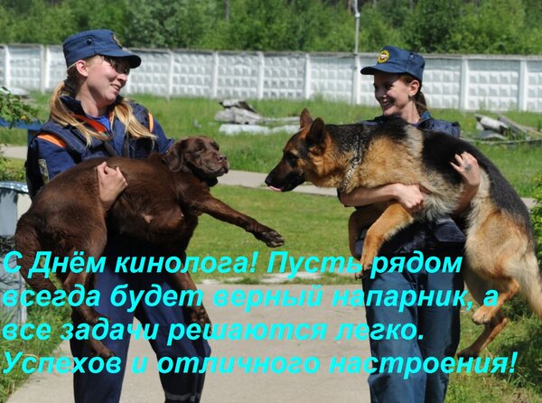 Открытка С Днём кинолога! Пусть рядом всегда будет верный напарник, а все задачи решаются легко. Успехов и от