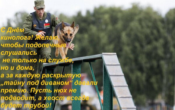 Открытка С Днём кинолога! Желаю, чтобы подопечные слушались не только на службе, но и дома, а за каждую раскр