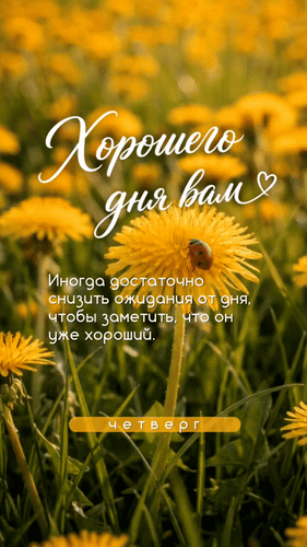 Анимированная открытка Четверг Хорошего вам дня! Иногда достаточно снизить ожидания от дня, чтобы заметить