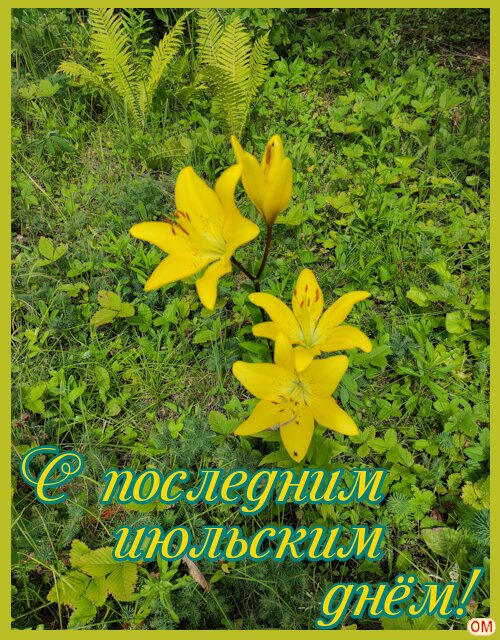 Открытка 31 июля