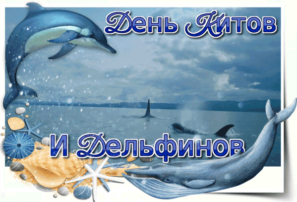 Анимированная открытка День китов и дельфинов