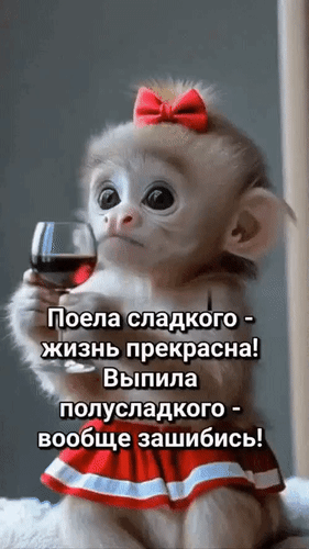 Анимированная открытка Юмор