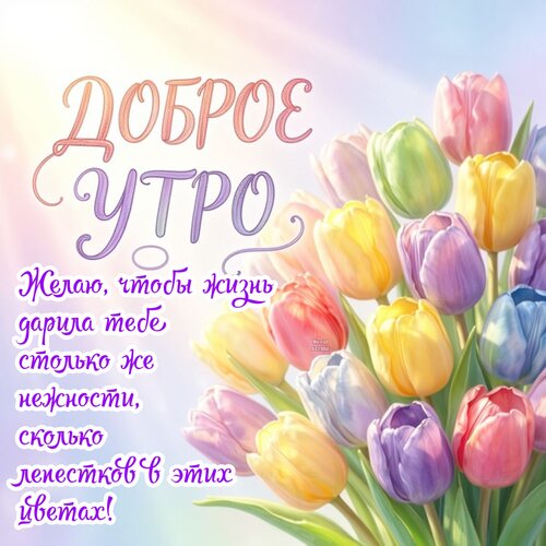 Открытка Доброе утро Желаю, чтобы жизнь дарила тебе столько же нежности, сколько лепестков в этих цветах!