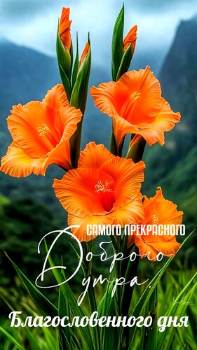 Открытка Доброе утро