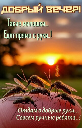 Открытка Добрый вечер