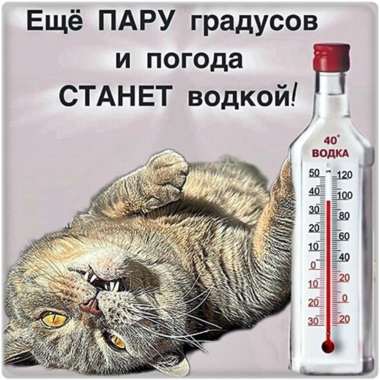 Открытка Лето, жара!