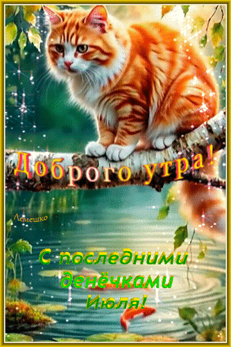 Анимированная открытка Доброго утра! Доброго дня! С последними денёчками Июля!