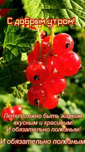 Открытка С добрым утром