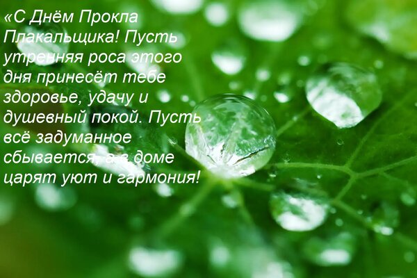 Открытка «С Днём Прокла Плакальщика! Пусть утренняя роса этого дня принесёт тебе здоровье, удачу и душевный п