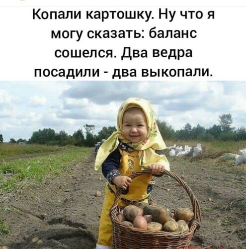 Открытка Баланс картошки сошелся