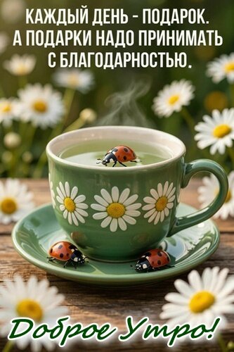 Открытка ДОБРОЕ УТРО!