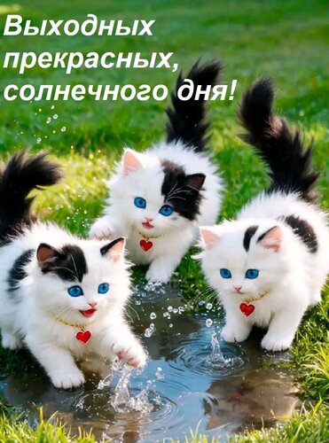 Открытка Выходных прекрасных, солнечного дня!