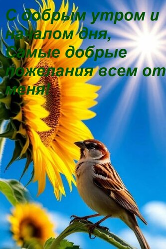 Открытка С добрым утром и началом дня, Самые добрые пожелания всем от меня!