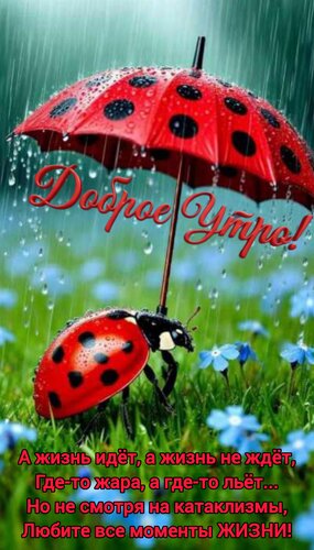 Открытка Доброе утро