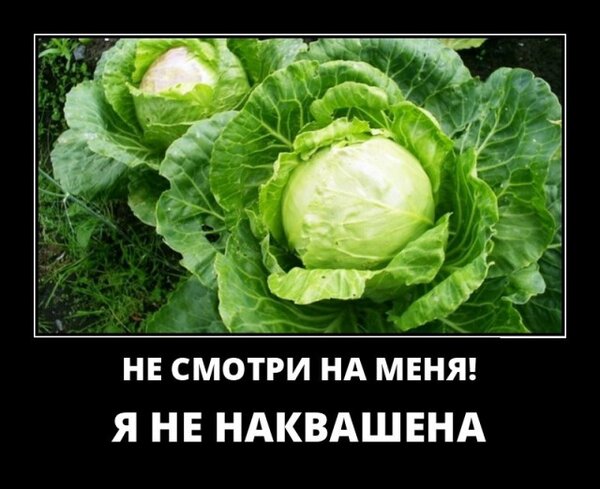 Открытка я не наквашена
