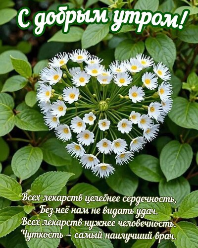 Открытка С добрым утром