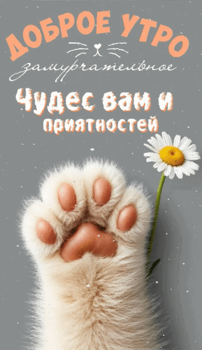 Анимированная открытка Доброе утро замурчательное. Чудес вам и приятностей