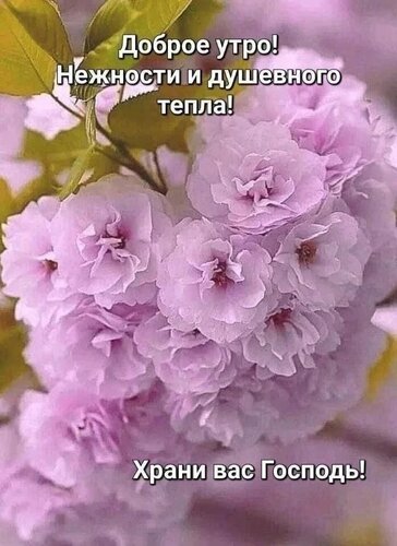 Открытка доброе утро