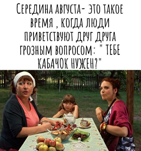 Открытка тебе кабачок нужен