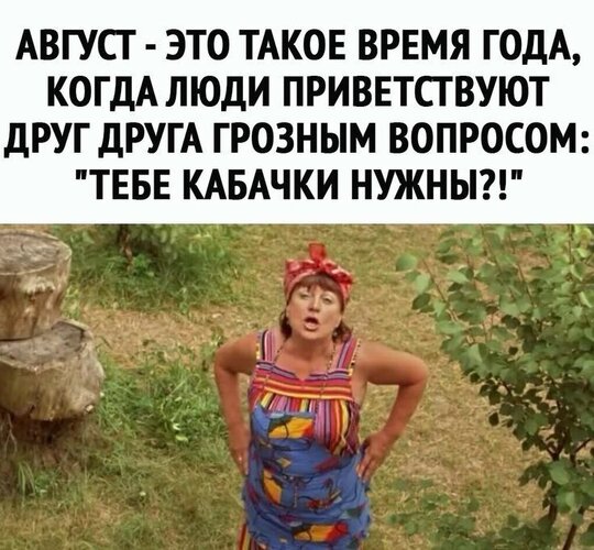 Открытка тебе кабачок нужен