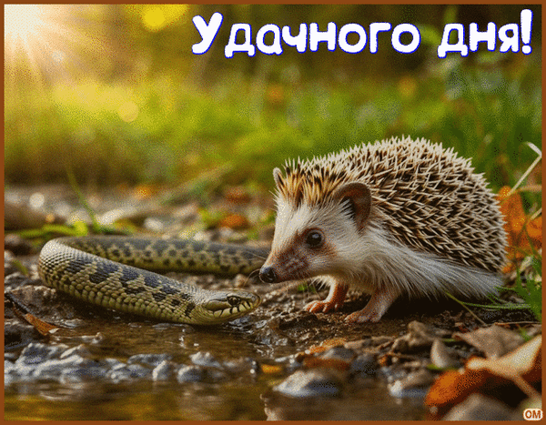 Анимированная открытка удачного дня 6