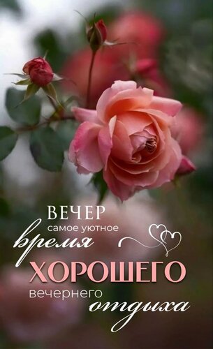 Открытка Хорошего вечернего отдыха