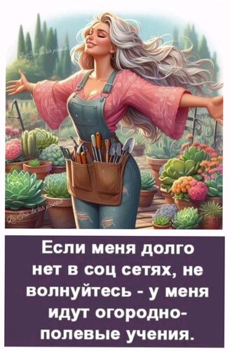 Открытка если долго нет в сетях