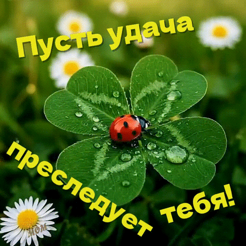Анимированная открытка Пусть удача преследует тебя!