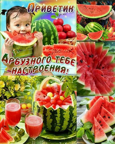 Открытка приветики