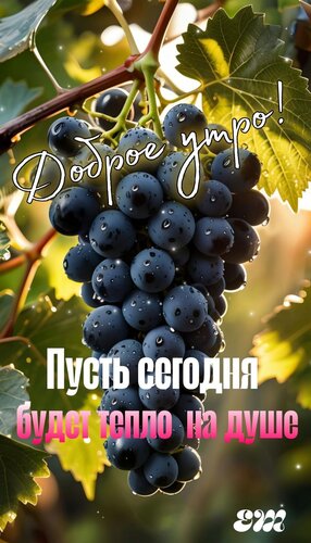 Открытка Доброе утро