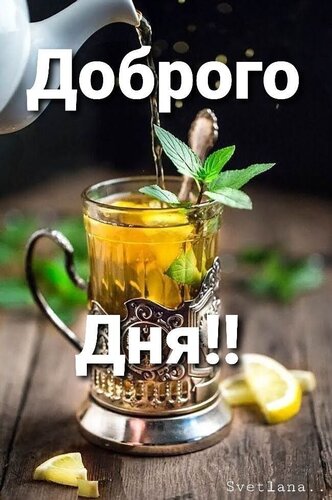 Открытка Добрый день