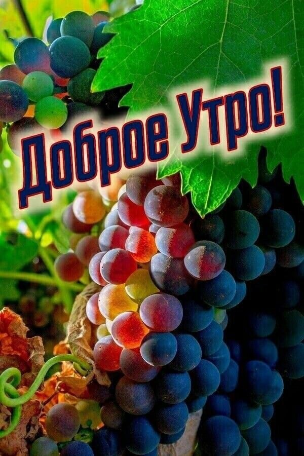 Открытка Доброе утро