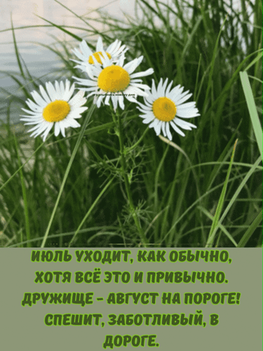 Анимированная открытка Июль уходит, как обычно, хотя всё это и привычно. Дружище - август на пороге! Спешит, заботливый, в