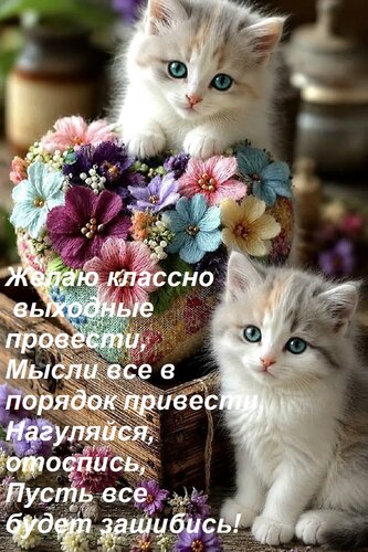 Открытка Желаю классно выходные провести, Мысли все в порядок привести, Нагуляйся, отоспись, Пусть все будет з