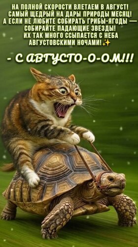 Открытка С августом!