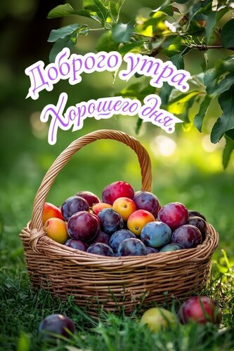 Открытка доброе утро