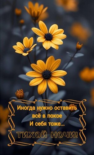 Открытка Иногда нужно оставить всё в покое И себя тоже... Тихой ночи!