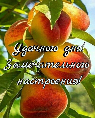 Открытка удачного дня