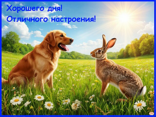 Открытка Хорошего дня!
