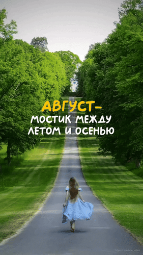 Анимированная открытка Август - мостик между летом и осенью