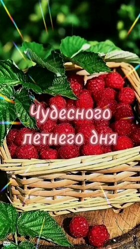 Открытка Чудесного летнего дня