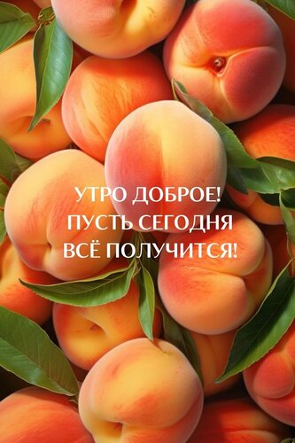 Открытка Доброе утро