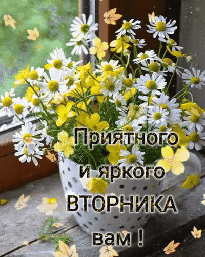 Анимированная открытка Приятного и яркого вторника вам!