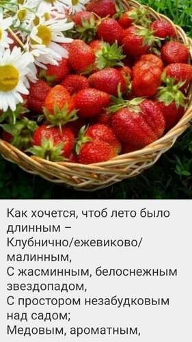 Открытка лето